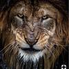 Mario Beckles - @user351045977 - TikTok