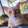 Mario Bejarano - @mario.bejarano11 - TikTok