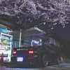marioberardi378 - @marioberardi378 - TikTok