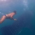 Mario Bergamini - @mario.bergamini.142 - Instagram