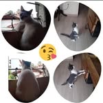 Mario Berrio - @mario.berrio.7543 - Instagram