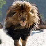 Mario Berrio - @mario_berrio_10 - Instagram
