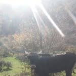 Mario Bertone - @bertonemichele63 - Instagram