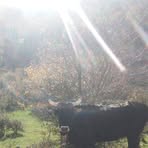 Mario Bertone - Facebook