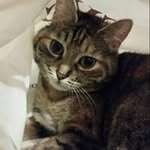Mario Bertone - @mario.bertone.982 - Instagram