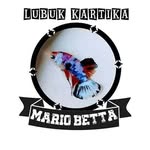 Mario betta - @mario_omah_betta - Instagram