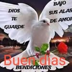 Mario Betta - @mariobetta2 - Instagram