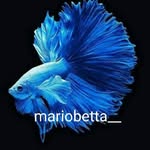 mariobetta__ - @mariobetta__ - Instagram