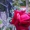 mariobettini835 - @mariobettini835 - TikTok