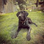 Mario beyer - @maui.38 - Instagram