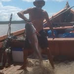 Mariobirditapua Andrade - @mariobirditapua - Instagram