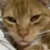 mariobirdmunchaaa69 - @mariobirdmunchaaa69 - TikTok