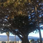 Mario Bitonti - @mario_bitonti - Instagram
