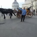 Mario Bitonti - @mario.bitonti.37 - Instagram