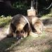 Mario Bolduc - Facebook