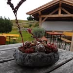 Mario Bonelli - @mario.bonelli.351 - Instagram