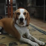 mario bonelli - @mariobonelli2 - Instagram