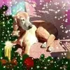 mariobonelli180 - @mariobonelli180 - TikTok