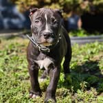 Mario Boone - @uptownrio44th - Instagram