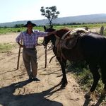 Mario Borjas - @mario.borjas.9003 - Instagram