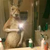 Mario Borjas - @marioborjas435 - TikTok
