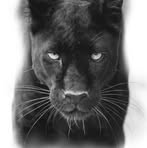 Mario Borjas - Facebook