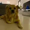 mariobosmans467 - @mariobosmans467 - TikTok