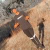 mariobostic - @mariobostic - TikTok