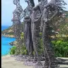 el_mariobowman - @el_mariobowman - TikTok