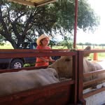 Mario Anaya Bugarin - @marioanayabugarin - Instagram