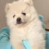 Mario Cabezas - @mario.cabezas46 - TikTok