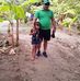 Mario Carpio - Facebook