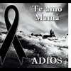 Mario Carpio - @mariocarpio06 - TikTok