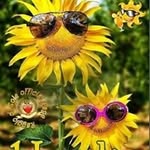 Mario Castorina - @mariocastorina - Instagram