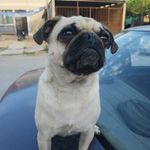 Mario Soto Castorena - @mariosotocastorena - Instagram