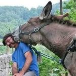 Mario Cavallo - @mario.cavallo - Instagram