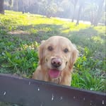 Chester Caio Mario Minichino - @chester_caio_mario - Instagram