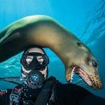 Mario Chow - @photographydiver - Instagram
