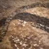 Mario Cole - @mario.cole6 - TikTok