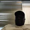 mariocole175 - @mariocole175 - TikTok