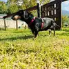 Mario Contardi - @mario.contardi - TikTok