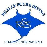 Mario conti - @really_scuba_diving_ - Instagram