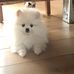 Mario Cooke - Facebook