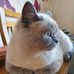 Marion Cooke - Facebook
