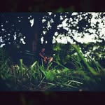 Mario Cooley - @_carrollwayler__ksfte - Instagram