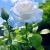 Mario Coro - Facebook