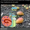 Mario Corro218 - @mariocorro218 - TikTok