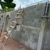 mariocoy129 - @mariocoy129 - TikTok