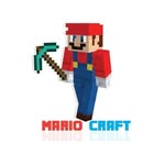 Mario Craft - @amu_mario - Instagram
