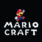@mario_craft_ - Instagram
